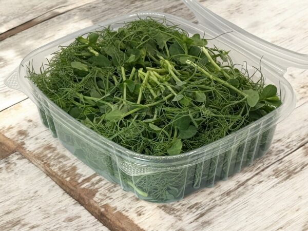Tendril Peas - Image 3