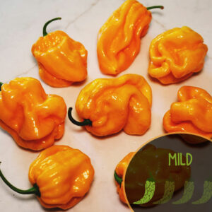 aji-margarantino-yellow-pepper-mild-pepper-casa-verde-microfarm