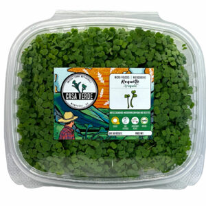 arugula-microgreens-roquette-micropousses-montreal