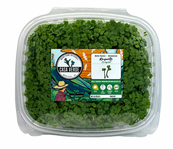 arugula-microgreens-roquette-micropousses-montreal