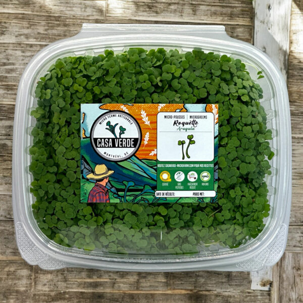 arugula-microgreens-roquette-micropousses-montreal-hero