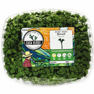 broccoli-microgreens-brocoli-micropousses-vaudreuil-casa-verde-microfarm-1