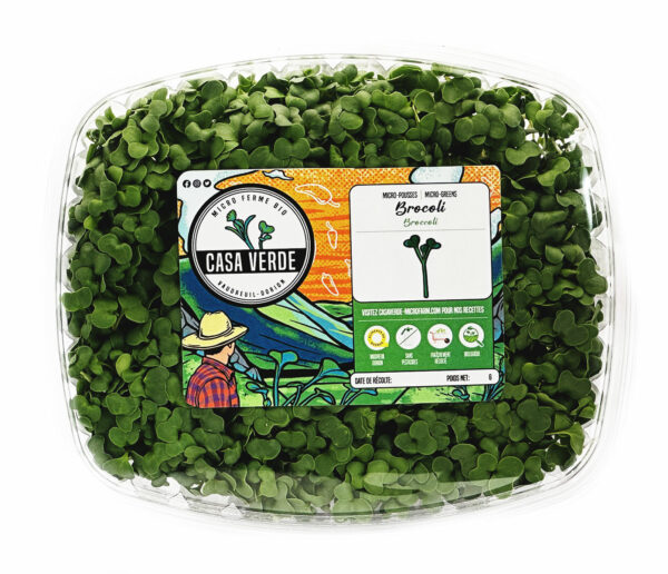 broccoli-microgreens-brocoli-micropousses-vaudreuil-casa-verde-microfarm-1