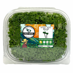 broccoli-microgreens-micropousses-brocoli-hero