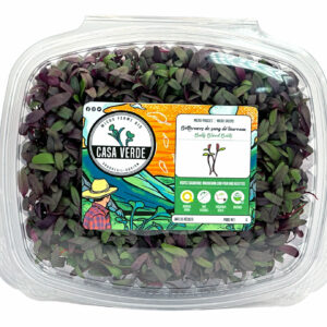 bulls-blood-beet-microgreens-bettraves-micropousses-montreal