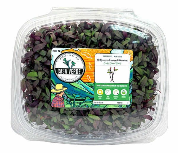 bulls-blood-beet-microgreens-bettraves-micropousses-montreal