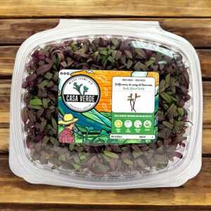 bulls-blood-beet-microgreens-bettraves-micropousses-montreal-hero