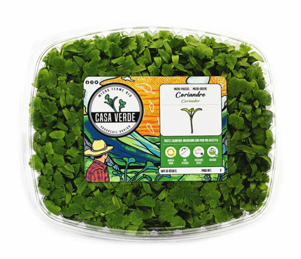 coriander-microgreens-cilantro-coriandre-micropousses-casa-verde-microfarm