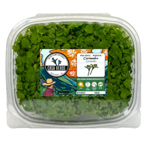 coriandre-microgreens-cilantro-coriandre-micropousses-montreal-casa-verde-micro-ferme