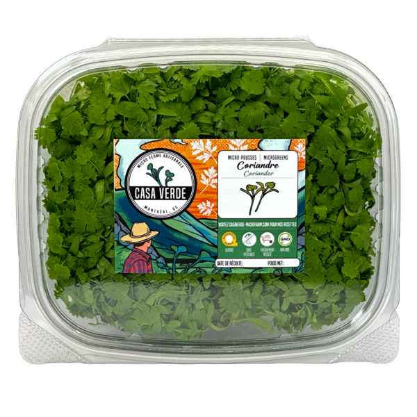 coriander-microgreens-cilantro-coriandre-micropousses-montreal-casa-verde-micro-farm