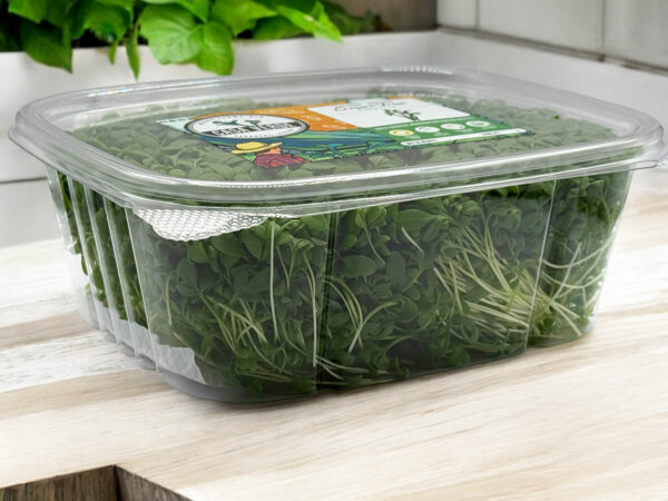 cress-microgreens-cresson-micropousses-2
