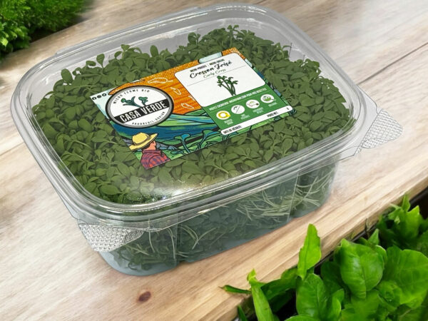 cress-microgreens-cresson-micropousses-3