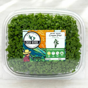 cress-microgreens-cresson-micropousses-hero-1