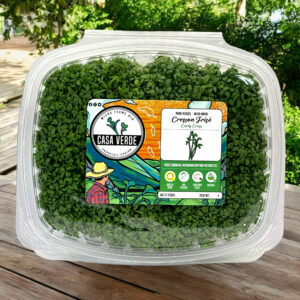 curly-cress-garden-cress-microgreens-sresson-micropousses-hero