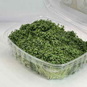 curly-cress-microgreens-cresson-frisee-micropousses-casa-verde-microfarm