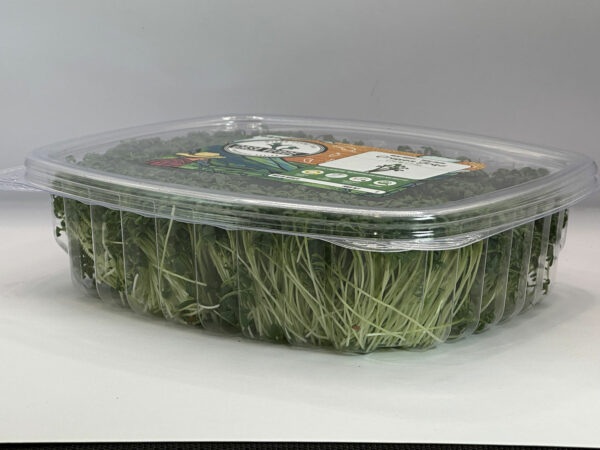 curly-cress-microgreens-cresson-frisee-micropousses-casa-verde-microfarm-3
