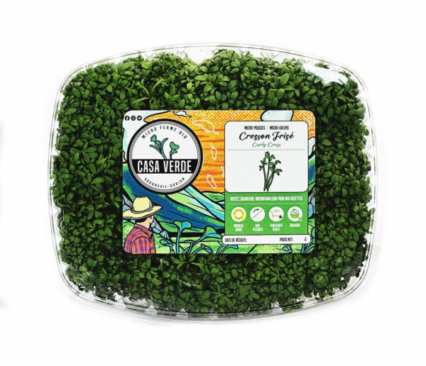 curly-cress-microgreens-cresson-frisee-micropousses-casa-verde-microfarm