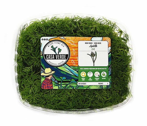 dill-microgreens-micropousse-aneth-vaudreuil-montreal-casa-verde-microfarm