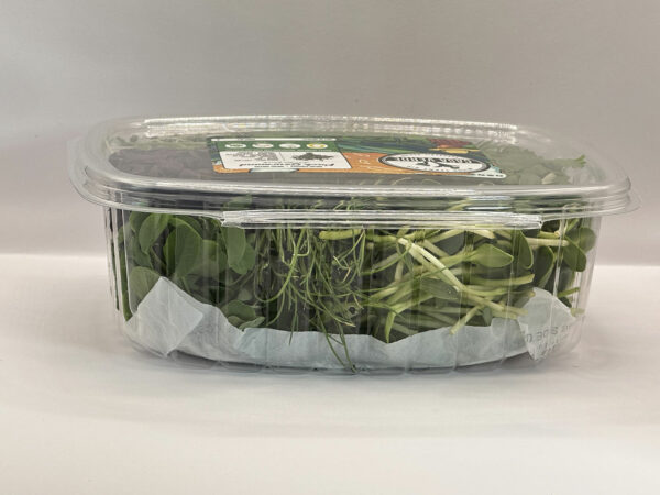 foodie-pack-microgreen-sampler-pack-micropousses-vaudreuil-casa-verde-montreal-microfarm-3