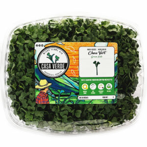 green-kale-microgreens-chou-vert-micropousses-casa-verde-microfarm-hero-2