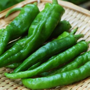 manganji-pepper-sweet-pepper-casa-verde-microfarm