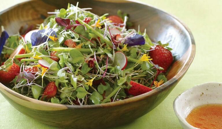 microgreen-salad-strawberry-casa-verde-montreal-vaudreuil-1120x650