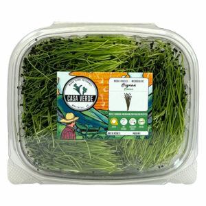 onion-microgreens
