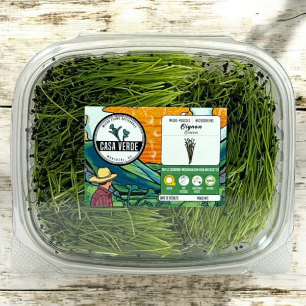 onion-microgreens-hero