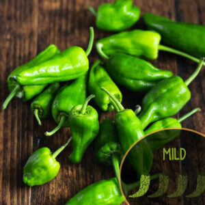 padron-spanish-pepper-mild-pepper-casa-verde-microfarm