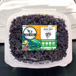 purple-basil-microgreens-basalic-micropousses-montreal-2