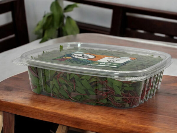 red-swiss-chard-microgreens-bette-a-acarde-micropousses-2