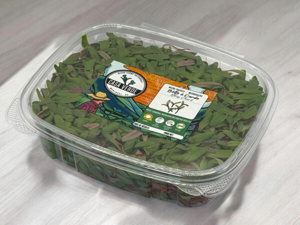red-swiss-chard-microgreens-bette-a-acarde-micropousses-3