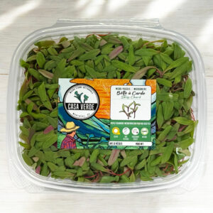 red-swiss-chard-microgreens-bette-a-acarde-micropousses-hero-1