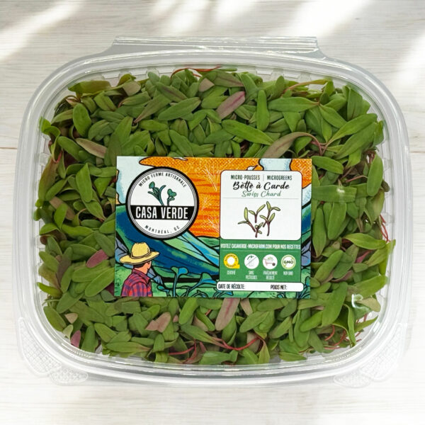 red-swiss-chard-microgreens-bette-a-acarde-micropousses-hero-1