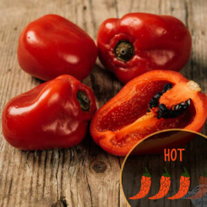 rocoto-red-hot-pepper-peruvian-pepper-casa-verde-microfarm
