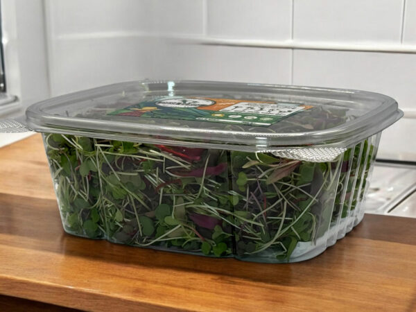 signature-mix-casa-verde-microgreens-melange-exclusif-micropousses-2