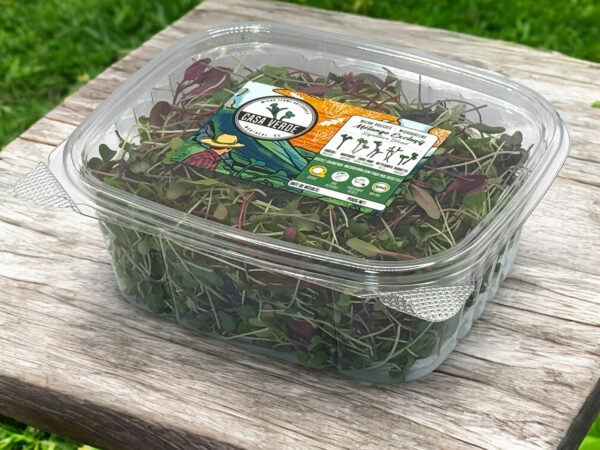 signature-mix-casa-verde-microgreens-melange-exclusif-micropousses-3