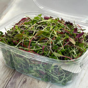 signature-mix-casa-verde-microgreens-melange-exclusif-micropousses-4