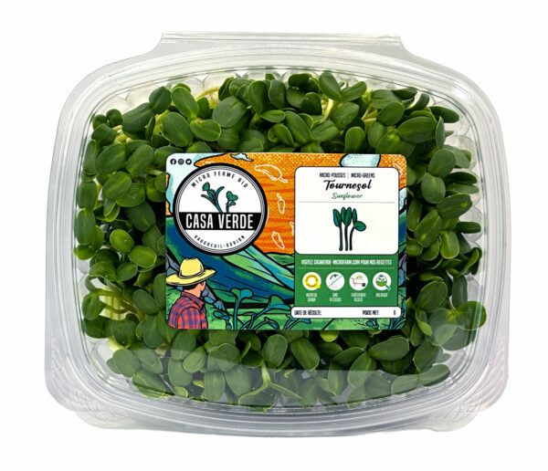 tournesol-microgreens-tournesol-micropousses-montreal