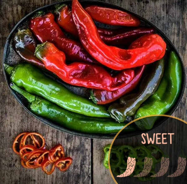 txorixer-pepper-sweet-pepper-casa-verde-microfarm-red