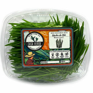 Wheat Grass