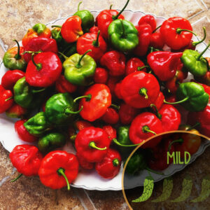 aji-dulce-puerto-rico-pepper-seeds-canada-mild-pepper-casa-verde-microfarm