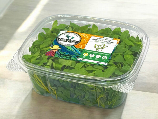 Yellow-swiss-chard-microgreens-bette-a-carde-jaune-micropousses-3