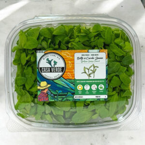 Yellow-swiss-chard-microgreens-bette-a-carde-jaune-micropousses-hero-1