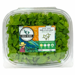 Yellow-swiss-chard-microgreens-bette-a-carde-jaune-micropousses-hero