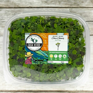 bok-choy-pak-choi-microgreens-micropousses-2