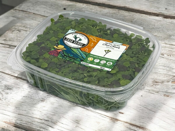 bok-choy-pak-choi-microgreens-micropousses-3