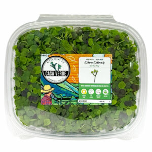 bok-choy-pak-choi-microgreens-micropousses-hero