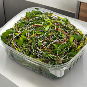 chef-mix-blend-microgreens-melange-du-chef-micropousses-vaudreuil-montreal-quebec-casa-verde-microfarm-4