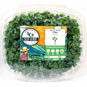 collard-microgreens-chou-micropousses-montreal